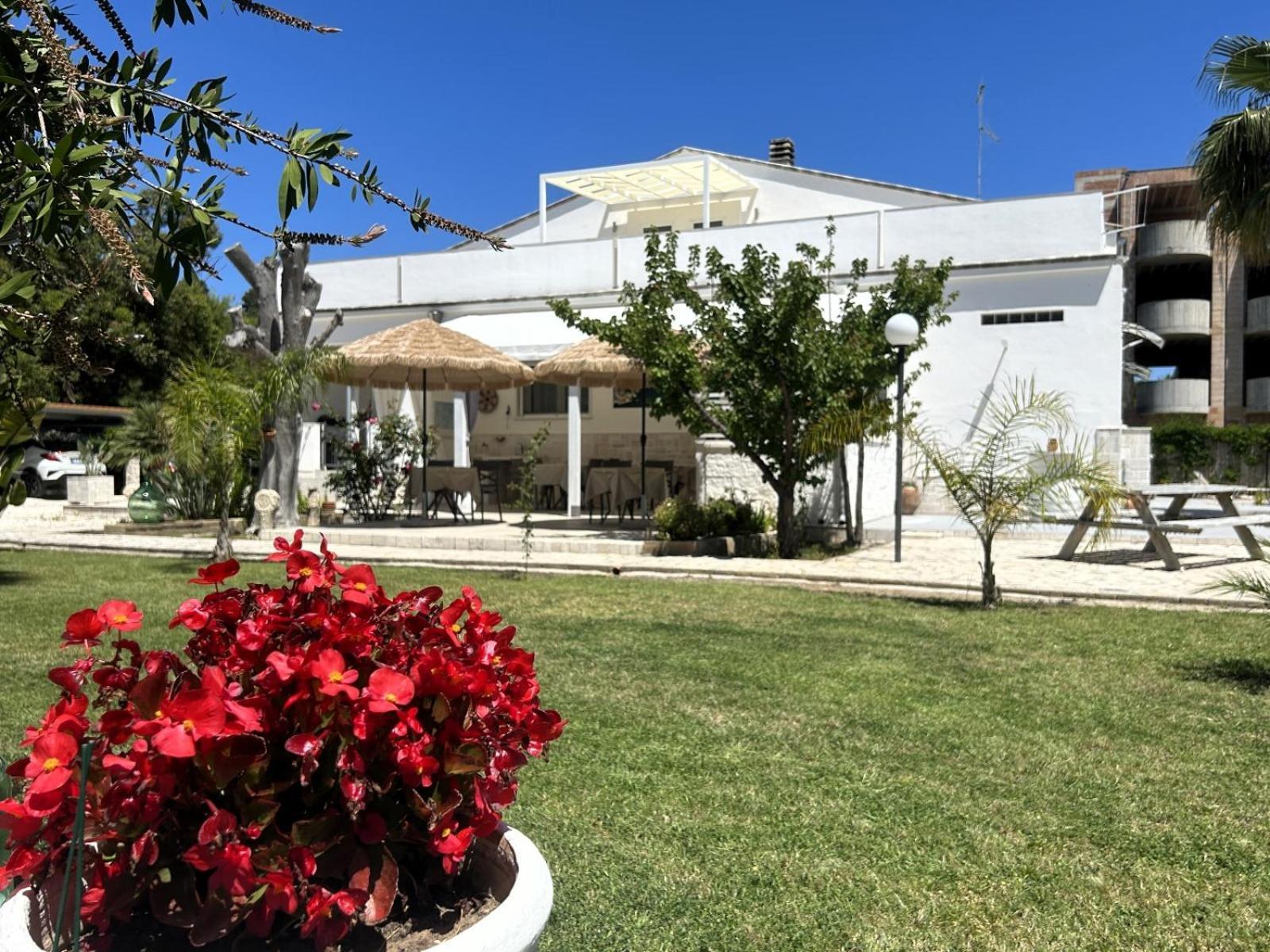 Villa Soleanna Residence Vieste Eksteriør billede