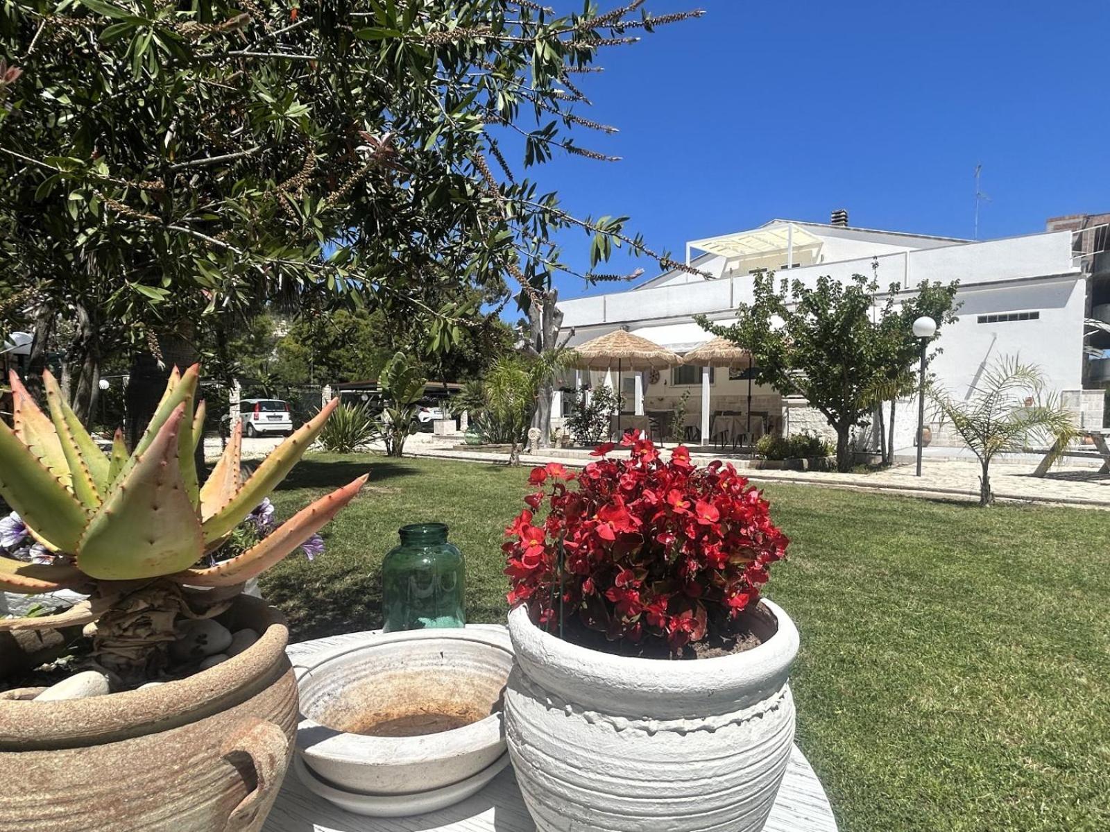 Villa Soleanna Residence Vieste Eksteriør billede